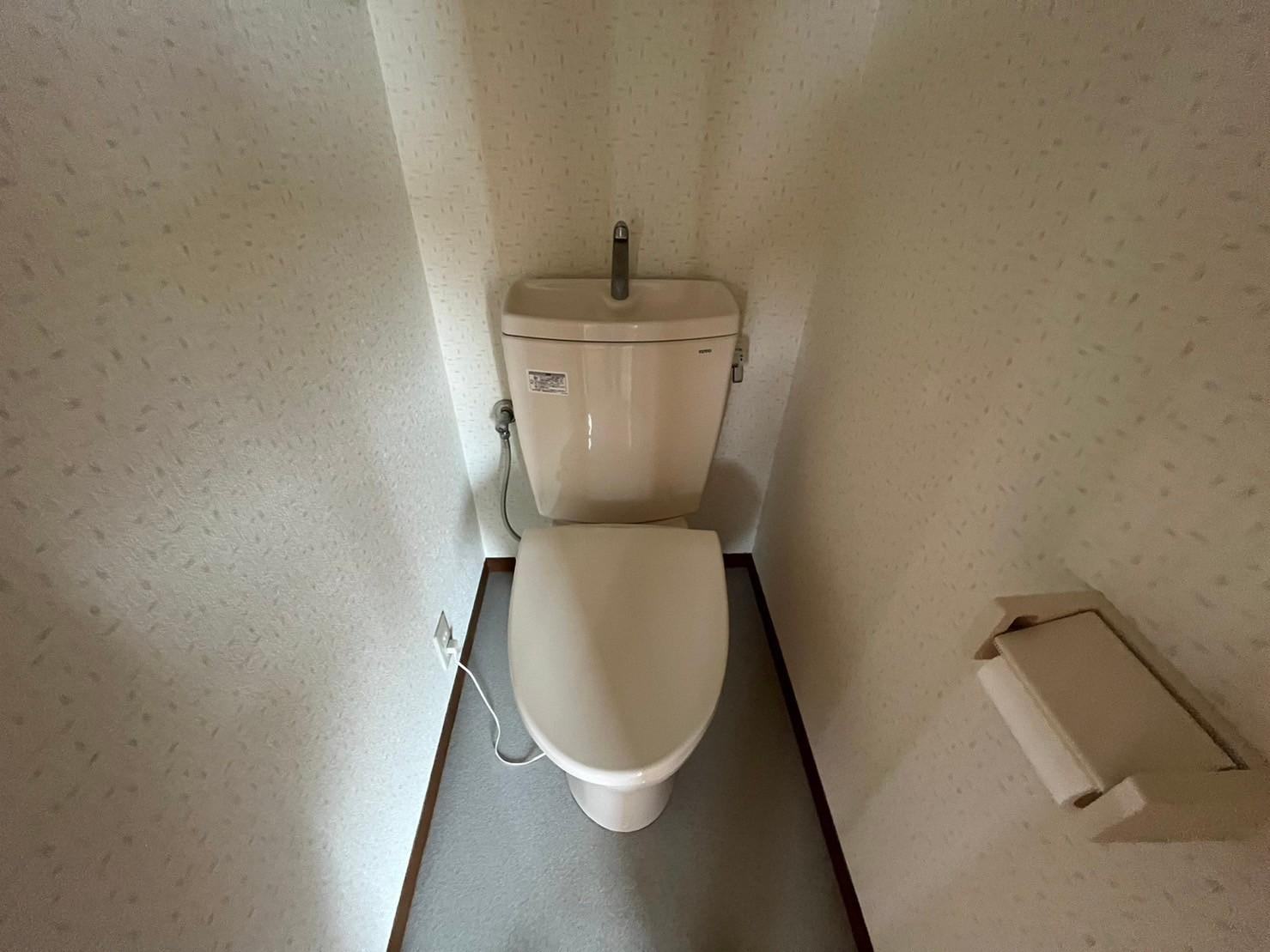 リベウツギのトイレ