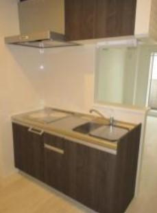 グラマシー新丸子のキッチン|※猫1匹飼育可能です。