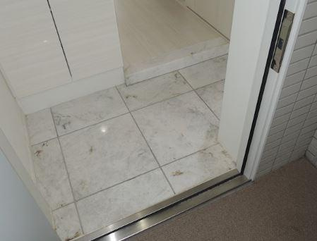 川崎市多摩区宿河原４丁目の賃貸マンションの玄関