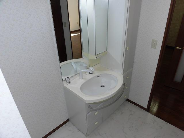 ティーズガーデン稲城の洗面所