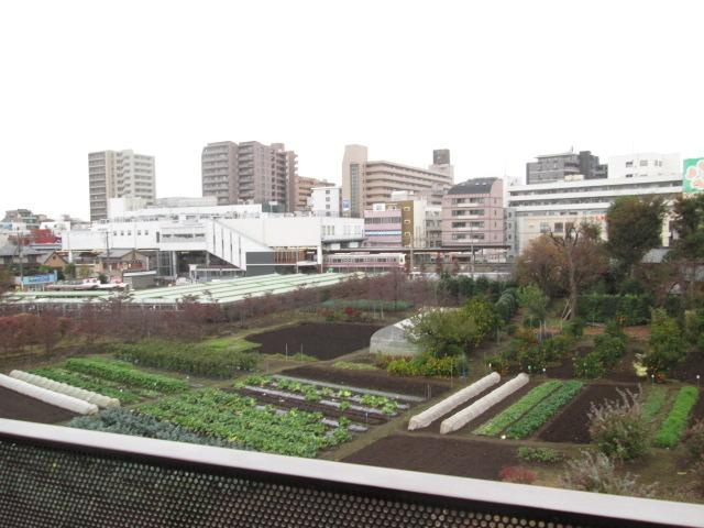 ディコーラムの展望