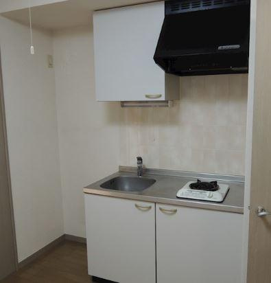 川崎市多摩区菅４丁目の賃貸マンションのキッチン