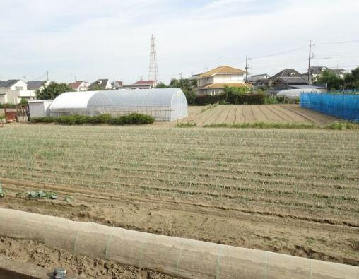 コルティーレRの展望