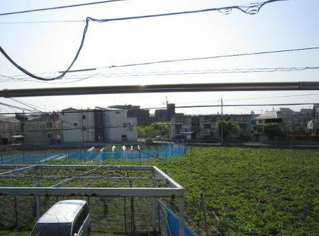 ジョイフルＭＴの展望