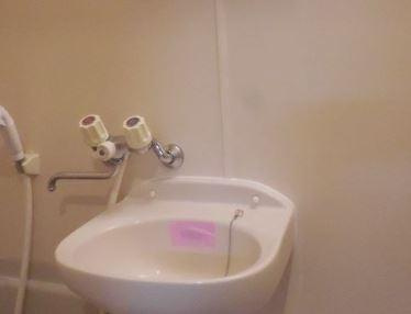 ソレアードマンションの洗面所