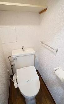 川崎市多摩区中野島３丁目の賃貸マンションのトイレ