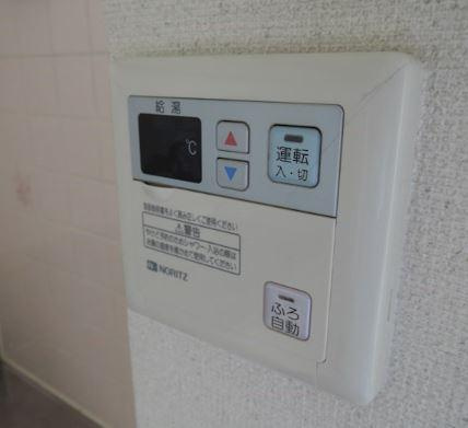 リーベンブルクのその他