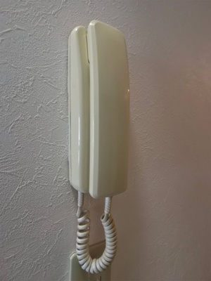 【セキュリティ】 | シャレー大濠 | 別号室の写真になります。現況優先。