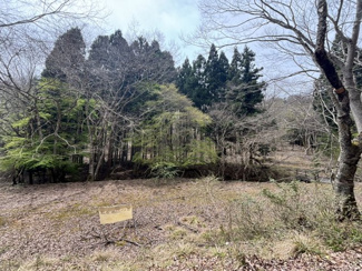 【外観】 | 兵庫県丹波篠山市上筱見　土地