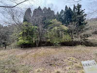 【外観】 | 兵庫県丹波篠山市上筱見　土地