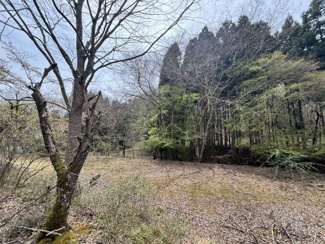 【外観】 | 兵庫県丹波篠山市上筱見　土地