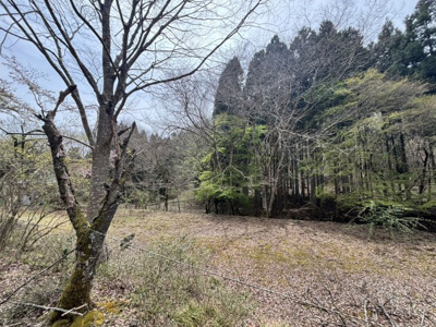 【外観】 | 兵庫県丹波篠山市上筱見　土地