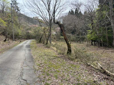 【外観】 | 兵庫県丹波篠山市上筱見　土地