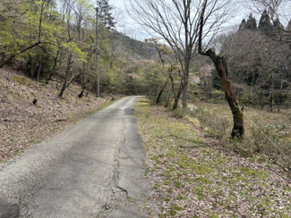 【外観】 | 兵庫県丹波篠山市上筱見　土地