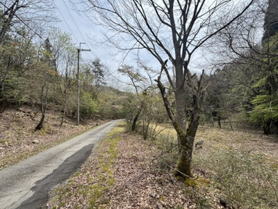 【周辺】 | 兵庫県丹波篠山市上筱見　土地