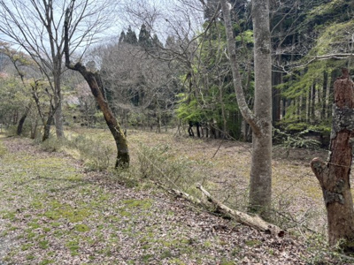 【外観】 | 兵庫県丹波篠山市上筱見　土地