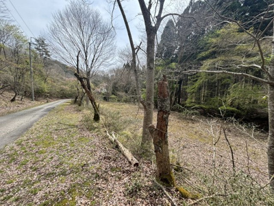 【外観】 | 兵庫県丹波篠山市上筱見　土地