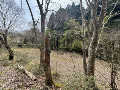 【外観】 | 兵庫県丹波篠山市上筱見　土地