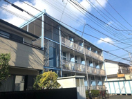 リバティの画像