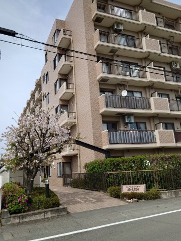 ロイヤルシャトー藤枝高洲　藤枝市高洲1丁目