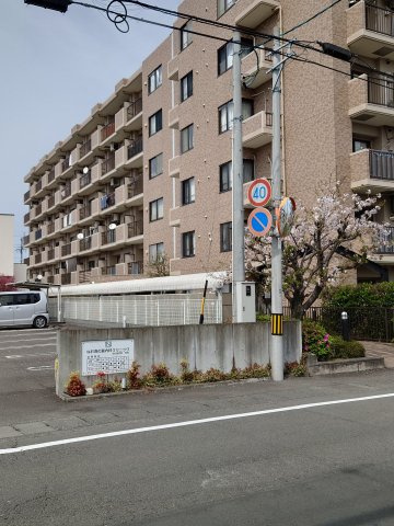 ロイヤルシャトー藤枝高洲　藤枝市高洲1丁目の外観|外観