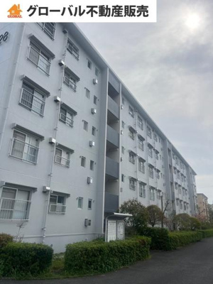 【外観】 | ひよどり台5団地28号棟　501号室