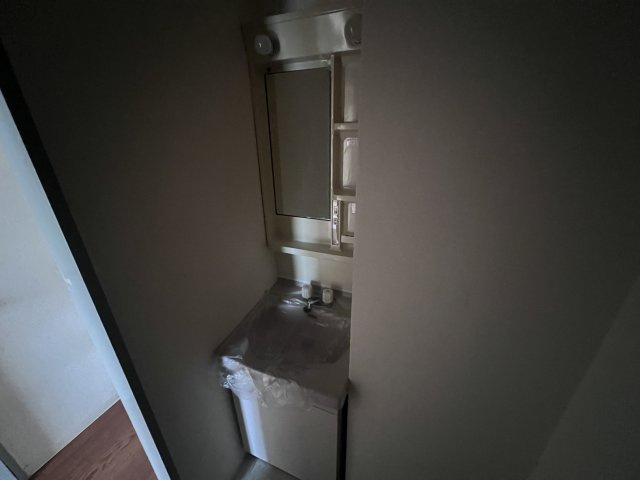 グレースミヤビの洗面所