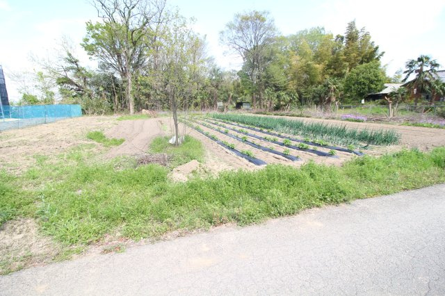 川島町牛ヶ谷戸　建築条件なし売地　「川越駅」バス26分　敷地163坪　敷地の外観