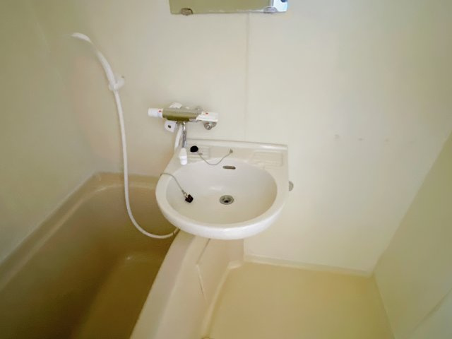 奥田アパートメントⅡの洗面所
