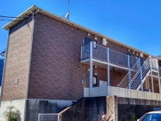新柏の画像