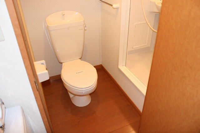 レオパレスＲｅｇｕｌｕｓのトイレ|落ち着いた色調のトイレです