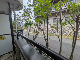 | みつがらす