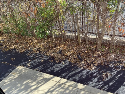 【庭】 | プレミール A棟