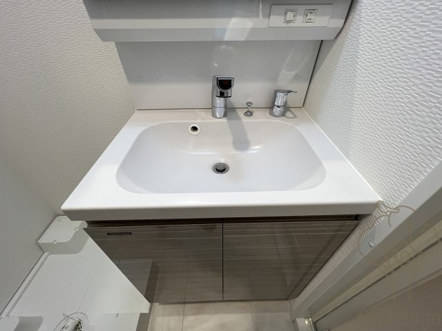 S-RESIDENCE福島玉川Tresの洗面所
