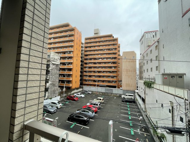 フェニックス日本橋高津の展望
