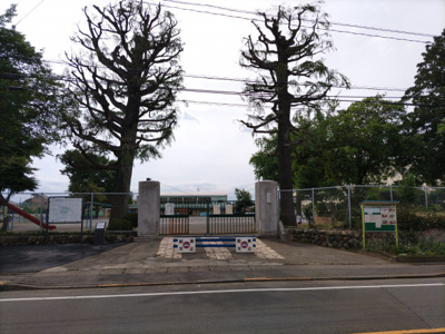 小学校／東大和市立第一小学校／203m