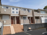 プリムローズの画像