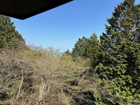 【展望】 | 東急天城高原別荘地　戸建