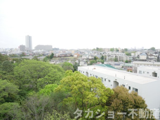 【展望】