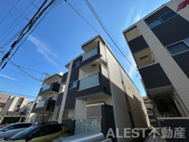 F asecia uraniaの画像