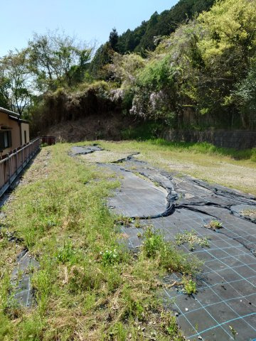 【外観】の画像