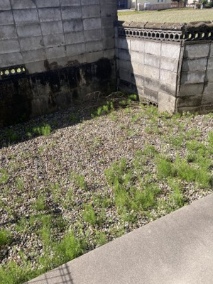 【庭】 | エミネンス グリーン