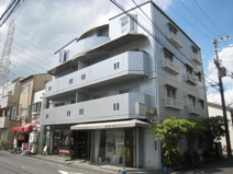 ロジャーズガーデンの画像