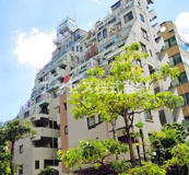 新宿区西新宿７丁目のマンションの画像