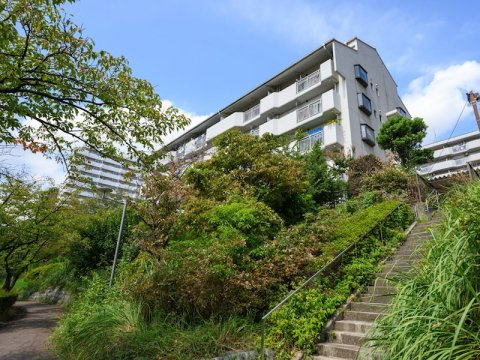 品川八潮パークタウン シティコープ八潮台 45号棟の画像