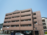 ＯＰＵＳ　ＯＮＥの画像