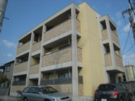 Ｔ-ｃｏｕｔｏの画像