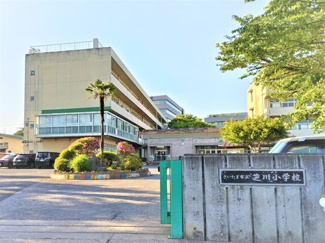 小学校