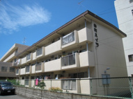 柳町ハイツの画像