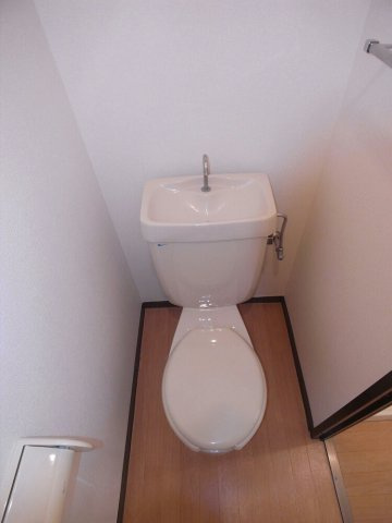 ドリームハイツ辻Ｂのトイレ|落ち着いたトイレです